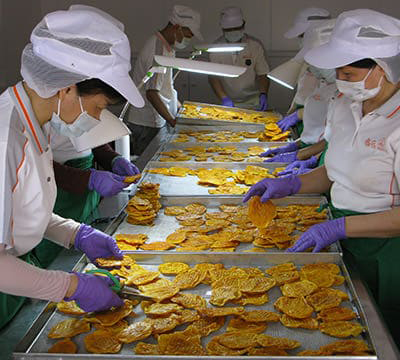 工廠產線安全衛生